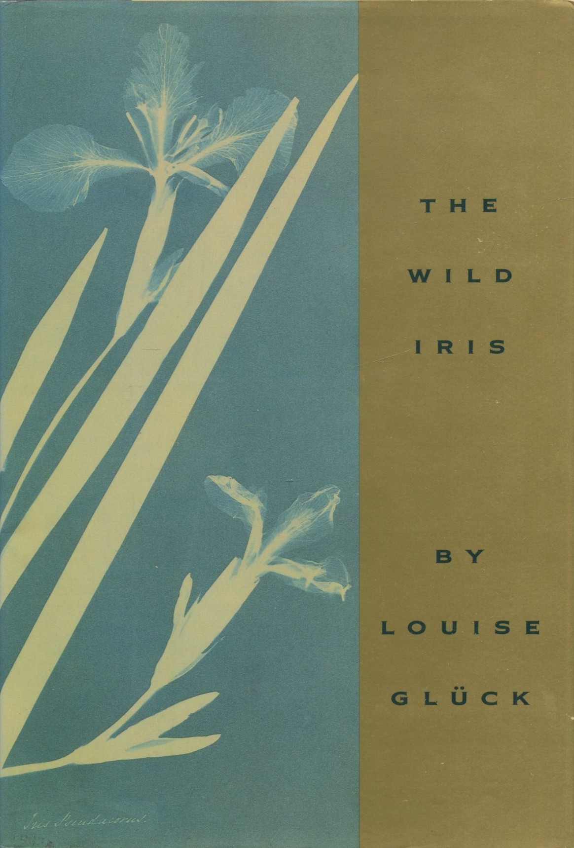 The Wild Iris First print cover