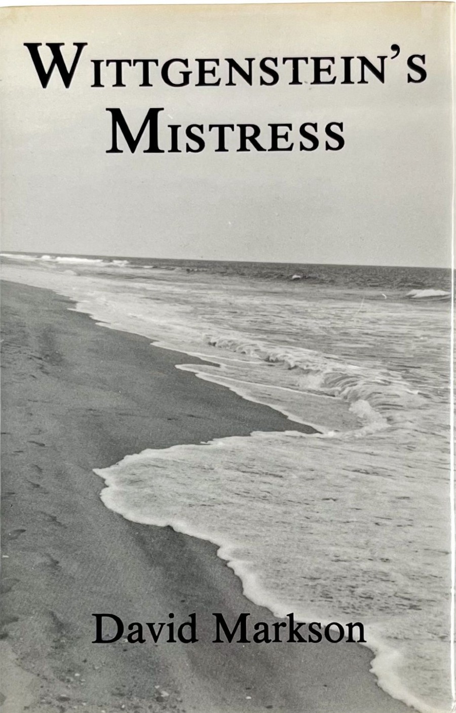 Wittgenstein's Mistress First edition, first printing cover
