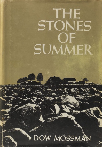 The Stones of Summer First edition, first printing cover